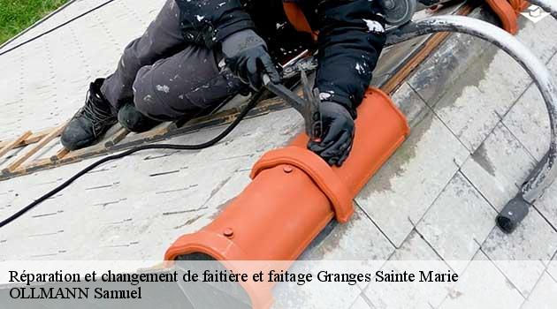 reparation-et-changement-de-faitiere-et-faitage-ollmann-samuel-4