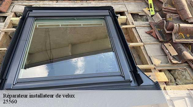 reparateur-installateur-de-velux-ollmann-samuel-5