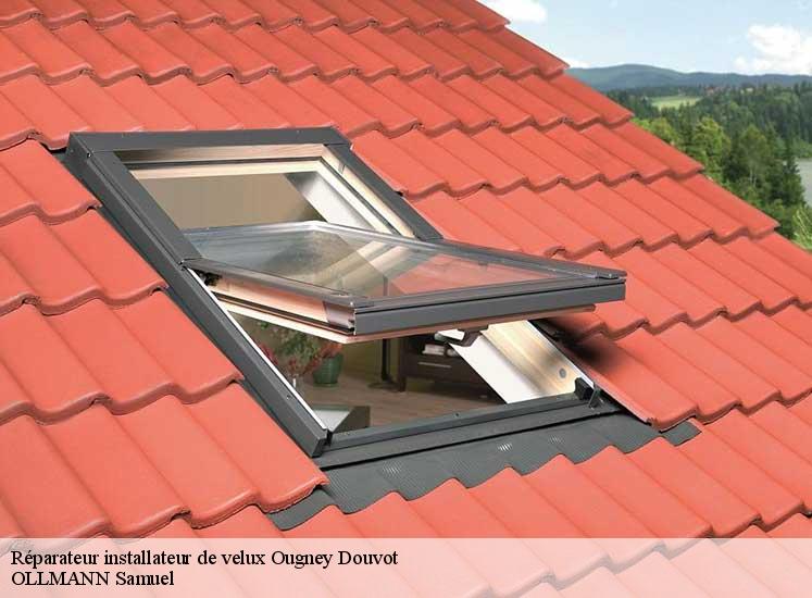 reparateur-installateur-de-velux-ollmann-samuel-1