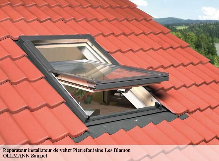 reparateur-installateur-de-velux-ollmann-samuel-1