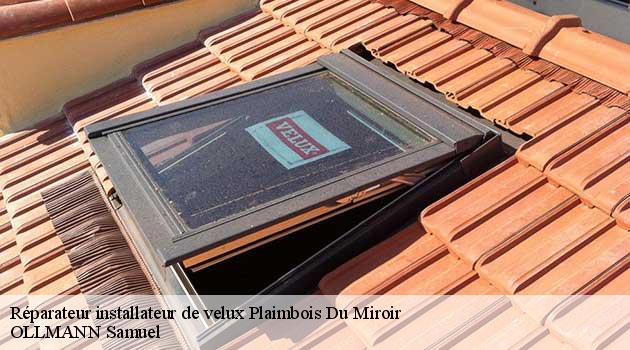 reparateur-installateur-de-velux-ollmann-samuel-4