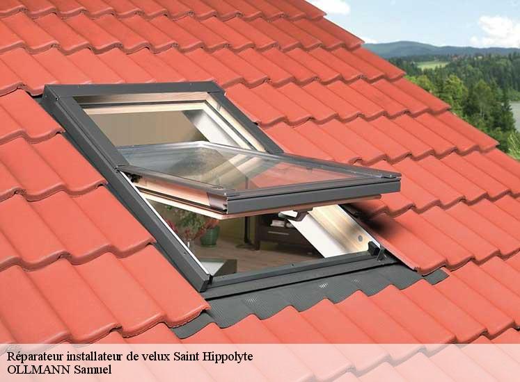 reparateur-installateur-de-velux-ollmann-samuel-1