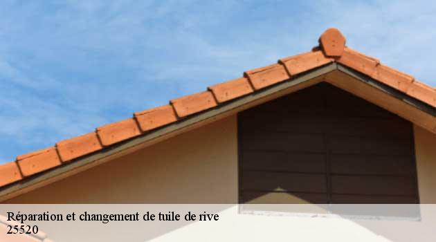 reparation-et-changement-de-tuile-de-rive-ollmann-samuel-5