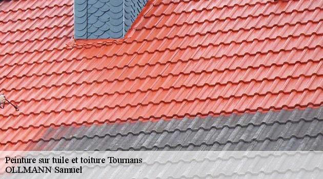 peinture-sur-tuile-et-toiture-ollmann-samuel-4