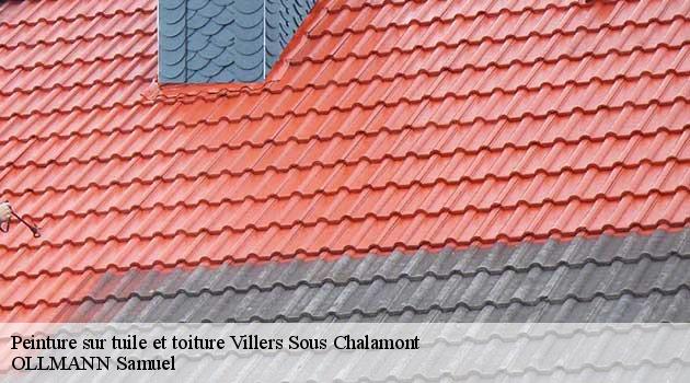 peinture-sur-tuile-et-toiture-ollmann-samuel-4